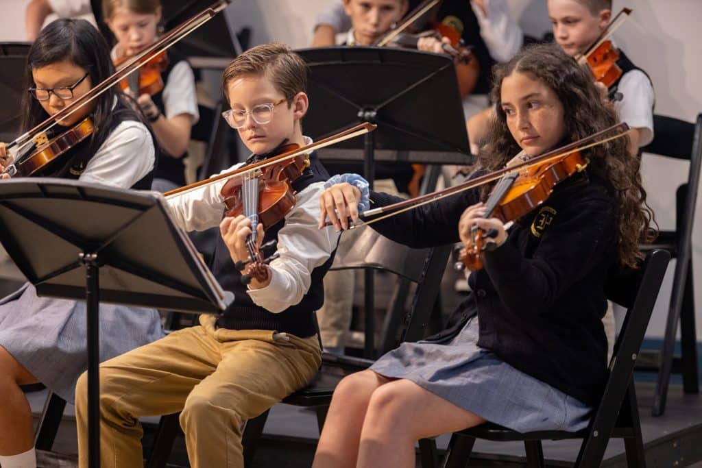 violin1